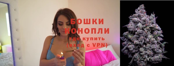 ПСИЛОЦИБИНОВЫЕ ГРИБЫ Горнозаводск