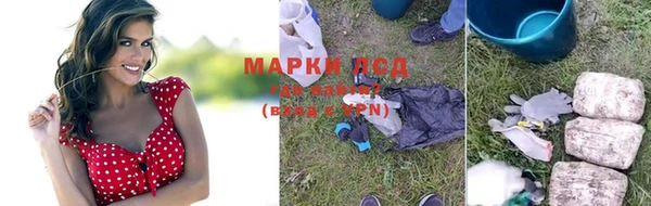 крисы Вяземский