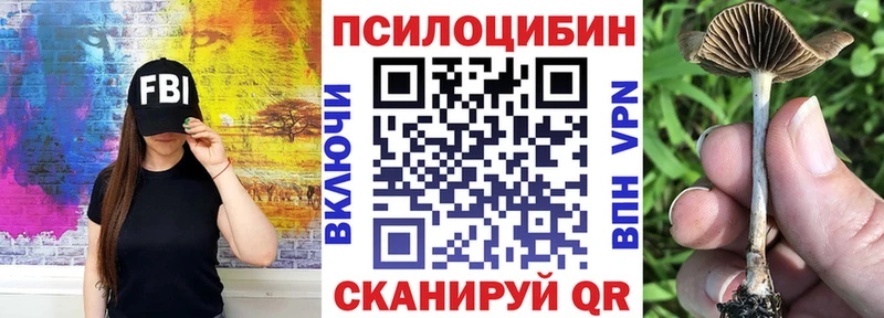 Галлюциногенные грибы Psilocybine cubensis  Егорьевск 